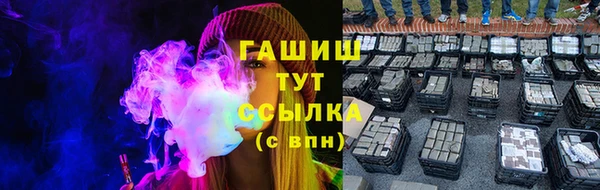 индика Богородицк